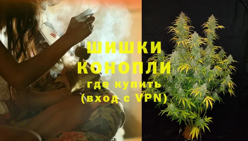 Марихуана SATIVA & INDICA  Шенкурск 